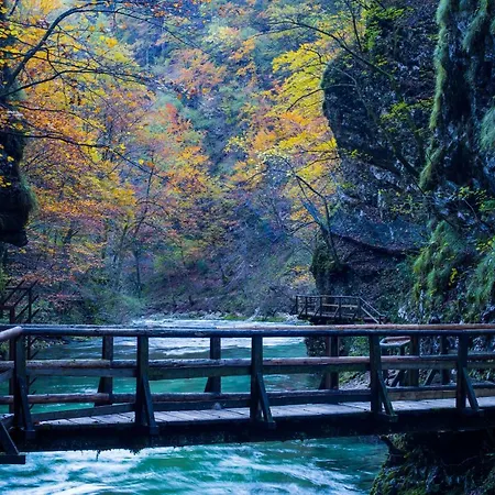 Apartmaji Tina Apartamento