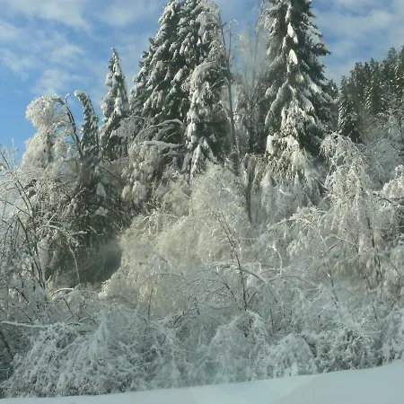 Apartmaji Tina Apartma *