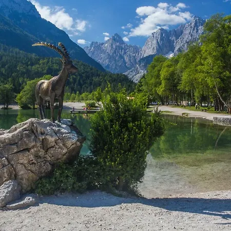 Apartmaji Tina * Zgornje Gorje